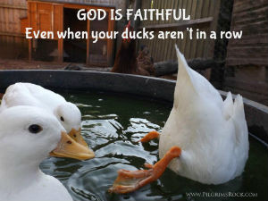 God is faithful even when your ducks aren't in a row - Pilgrim's Rock, God the Reason, Dr. Craig Biehl