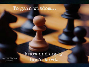 To gain wisdom…know and apply God's Word. - black and brown chess set - God the Reason by Dr. Craig Biehl