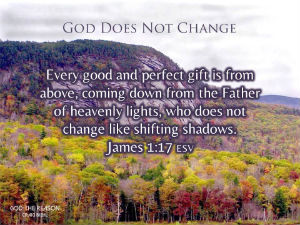 God Does Not Change - Every good and perfect gift is from above, coming down from the Father of heavenly lights, who does not change like shifting shadows. James 1:17 - fall forest of trees against cliff rock face - God the Reason by Dr. Craig Biehl