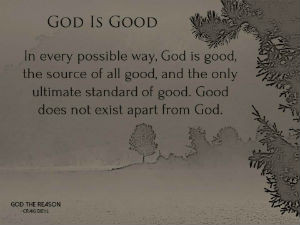God is Good - In every possible way, God is good, the source of all good, and the only ultimate standard of good. Good does not exist apart from God. - fog and trees grey color - God the Reason by Dr. Craig Biehl