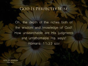 God Is Perfectly Wise - "Oh, the depth of the riches both of the wisdom and knowledge of God! How unsearchable are His judgments and unfathomable His ways!" Romans 11:33 - yellow daisy's darkened - God the Reason by Dr. Craig Biehl
