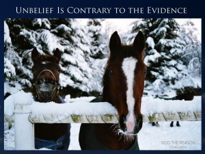 Unbelief is contrary to the evidence - horses looking over fence in snow - God the Reason by Dr. Craig Biehl