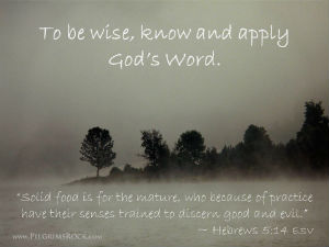 To be wise, know and apply God's Word. - "Solid food is for the mature, who because of practice have their senses trained to discern good and evil." - Hebrews 5:14 - dark tree outline on grey mist