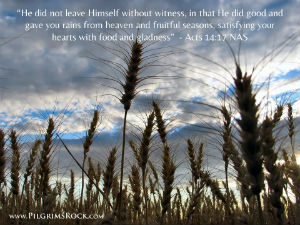 "He did not leave Himself without witness, in that He did good and gave you rains from heaven and fruitful seasons, satisfying your hearts with food and gladness." - Acts 14:17 - wheat against blue and clouds in sky