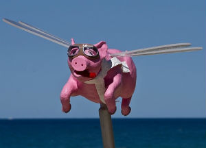 Art, Space Junk, and Ultimate Beauty - Weekly Blog Post by Dr. Craig Biehl - flying pink pig statue