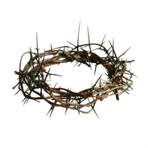 The Glory of Reproach - Weekly Blog Post by Dr. Craig Biehl - crown of thorns